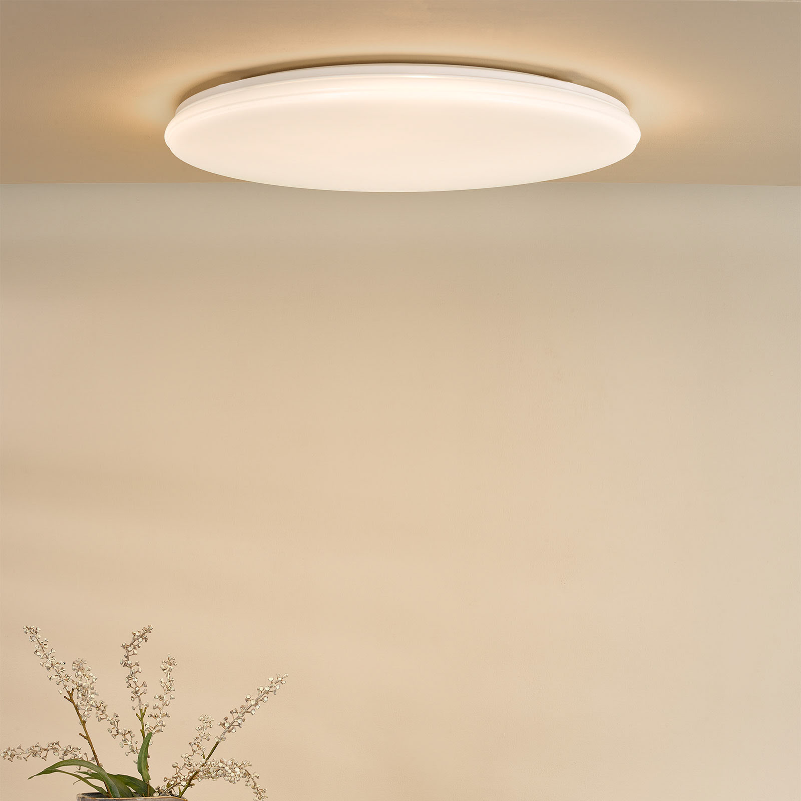 Duena Flush White Frosted Acrylic LED