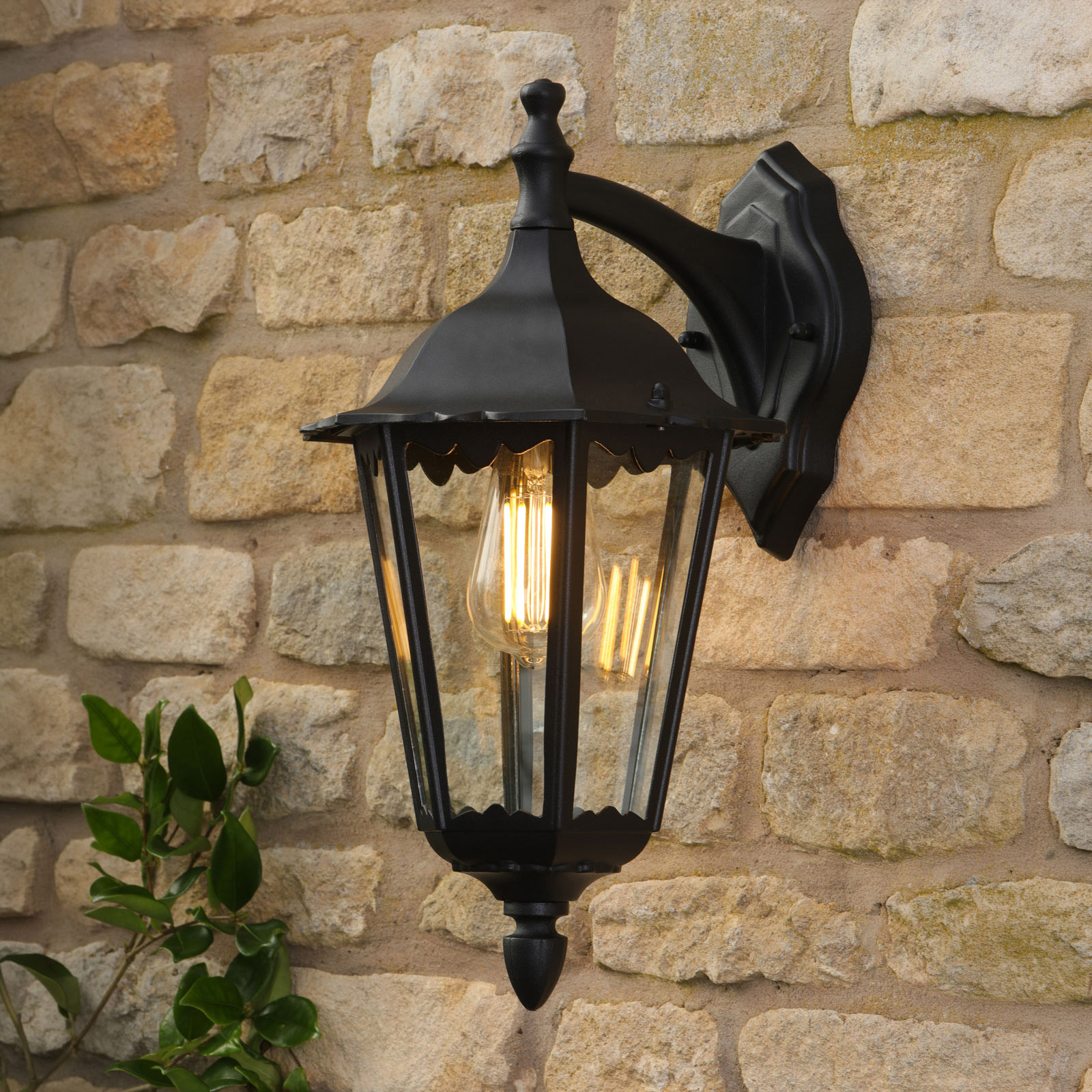 Eddard Outdoor Wall Light Matt Black and Glass IP44
