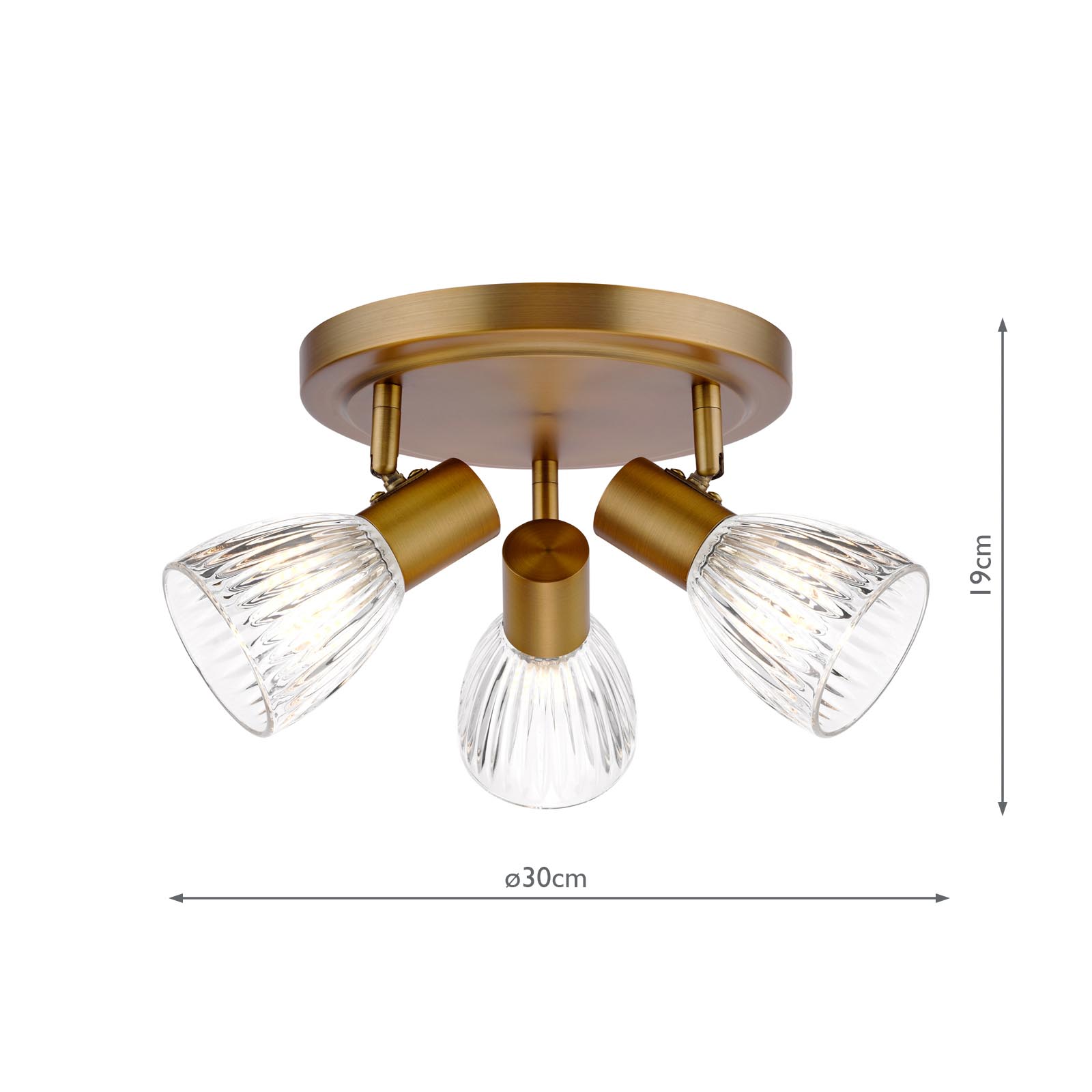 Elron 3 Light Plate Spotlight Antique Bronze and Ribbed Glass
