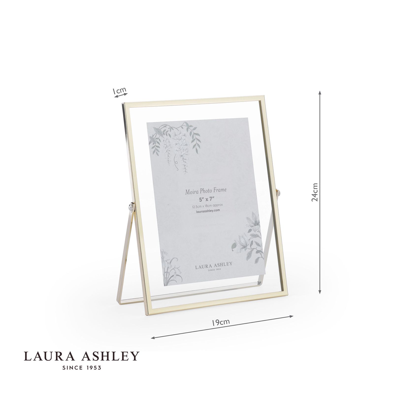 Moira Photo Frame Polished Gold and Glass 5