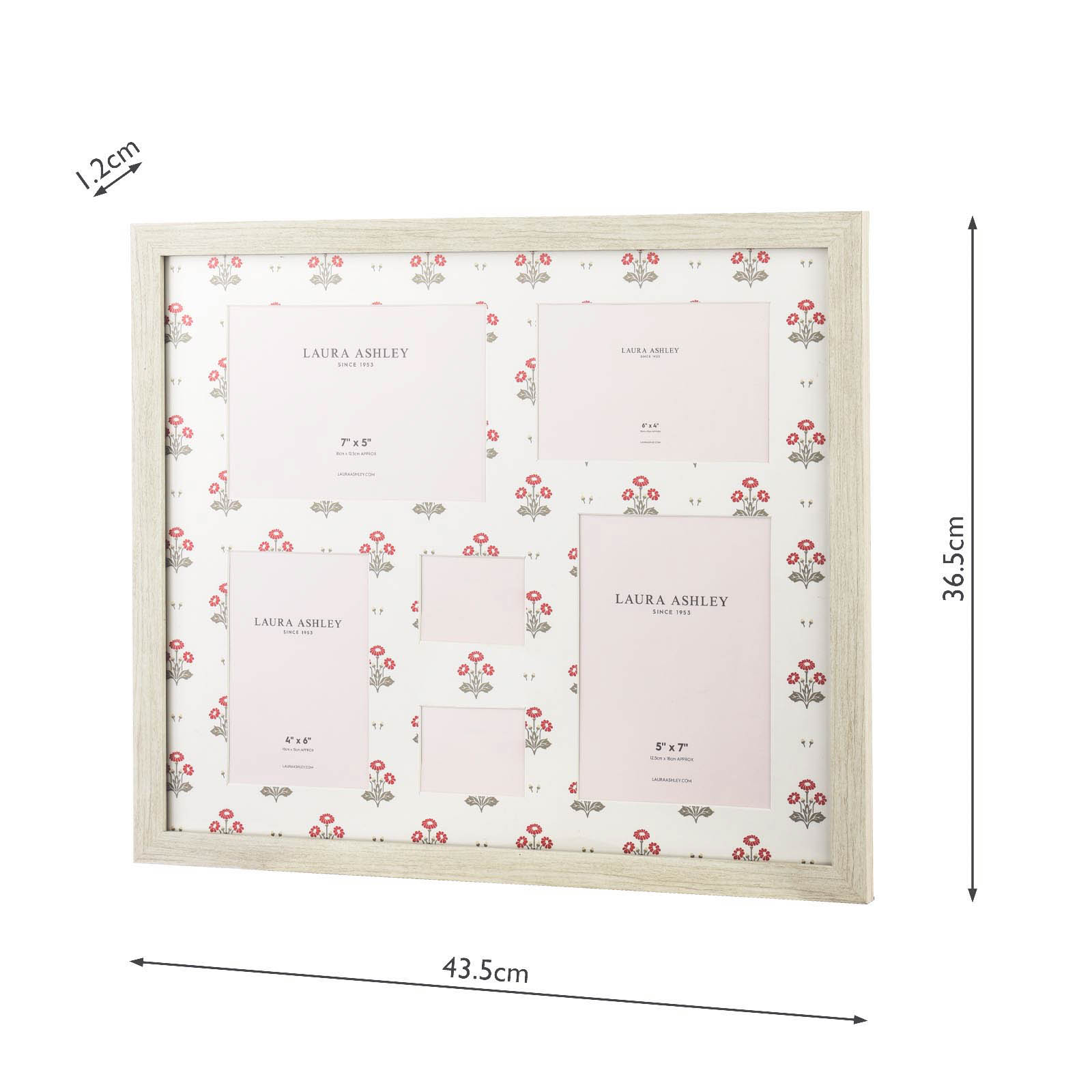 Laura Ashley Harthill Daisies Photo Frame Matt White and Multi Coloured