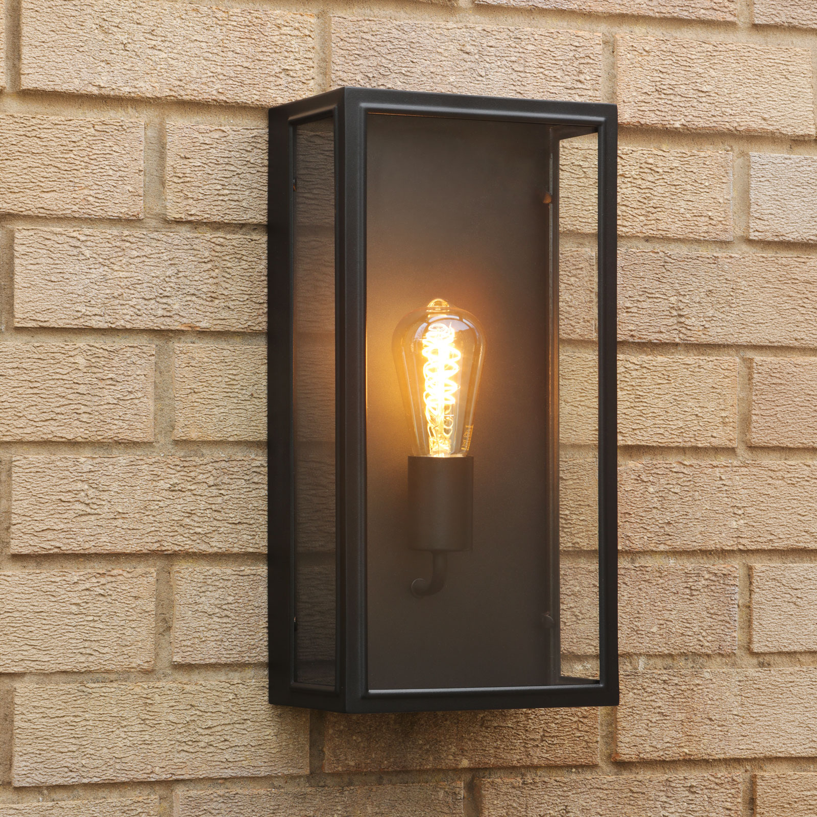 Mazin Outdoor Wall Light Matt Black and Glass IP44
