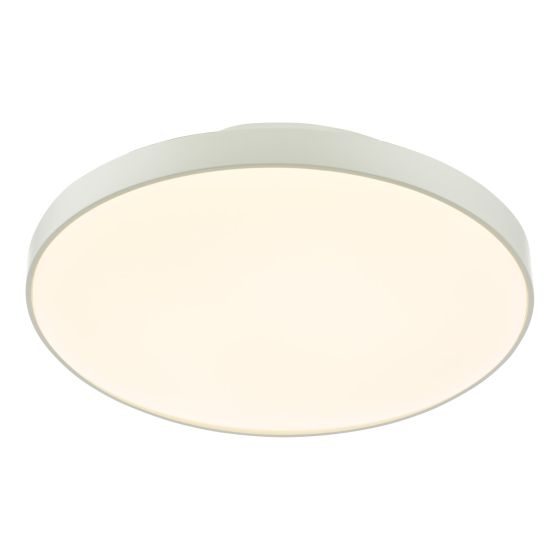 Essien Bathroom Ceiling Light White LED IP44