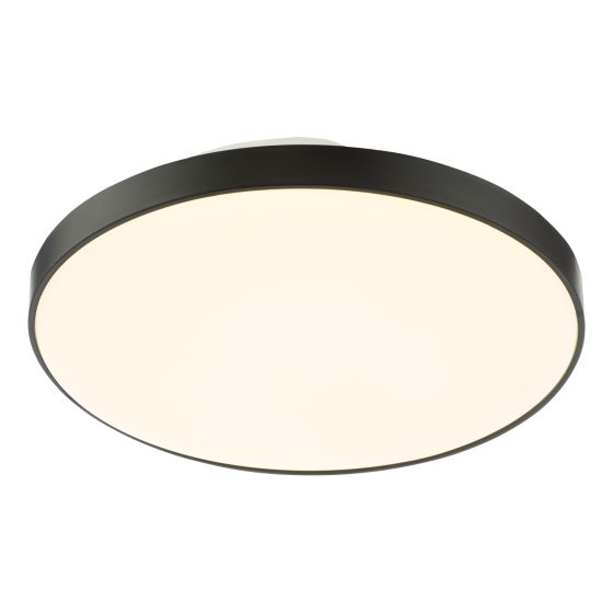 Essien Bathroom Ceiling Light White and Black LED IP44