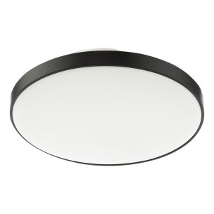 Essien Bathroom Ceiling Light White and Black LED IP44