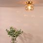 Alcella Wall/Ceiling Light Natural Brass and Amber Dimple Glass