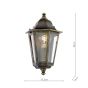 Audley End Outdoor Wall Light Hand-brushed Black/Gold and Glass IP44