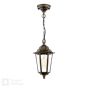 Audley End Outdoor Pendant Hand-brushed Black/Gold and Glass IP44