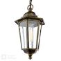 Audley End Outdoor Pendant Hand-brushed Black/Gold and Glass IP44