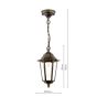 Audley End Outdoor Pendant Hand-brushed Black/Gold and Glass IP44