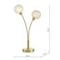 Avari 2 Light Table Lamp Satin Brass and White Frosted Glass