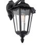 Eddard Outdoor Wall Light Matt Black and Glass IP44