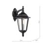 Eddard Outdoor Wall Light Matt Black and Glass IP44