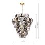 Genoa 12 Light Chandelier Natural Brass and Smoked Glass