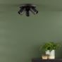Hiro 3 Light Plate Spotlight Matt Black