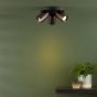 Hiro 3 Light Plate Spotlight Satin Bronze and Matt Black
