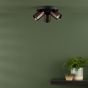 Hiro 3 Light Plate Spotlight Satin Bronze and Matt Black