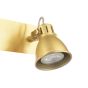 Idaho 2 Light Wall Spotlight Natural Brass