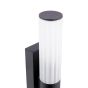 Lars 2 Light Bathroom Wall Light Matt Black and White Frosted Acrylic IP44
