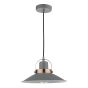 Liden 1 Light Single Pendant Graphite Copper