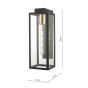 Naxos Outdoor Wall Light Black Glass IP43