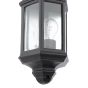 Nelson Outdoor Wall Light Matt Black and Glass IP44