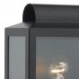 Notary Outdoor Wall Light Black Glass IP44