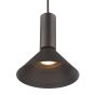Ragnar Pendant/Wall Light Satin Black