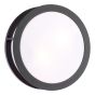 Ratana Outdoor Wall Light Matt Black and Opal IP44