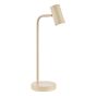 Thierry Desk Lamp Matt Taupe