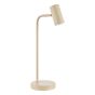 Thierry Desk Lamp Matt Taupe