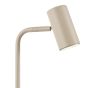 Thierry Desk Lamp Matt Taupe