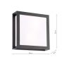 Vayu 2 Light Outdoor Wall Light Matt Black and Opal IP44