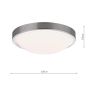Dover Bathroom Ceiling Light Satin Chrome and Opal IP44