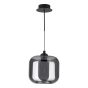 Eileen Pendant/Wall Light Matt Black and Smoked Glass LED