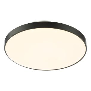 Essien Bathroom Ceiling Light White and Black LED IP44