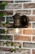 Sedgewick Outdoor Wall Light Bronze Glass IP44