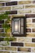 Trent Outdoor Wall Light Black/Gold Frosted Glass IP44